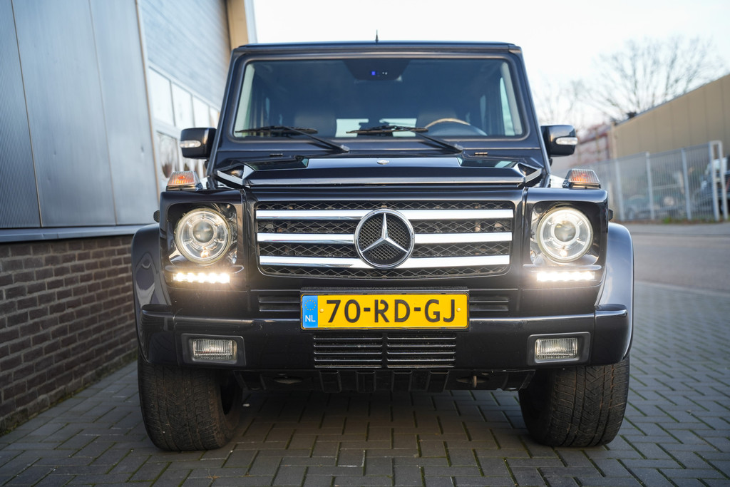 51053205-6.jpg